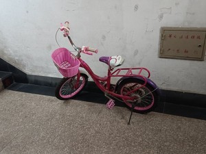 三合顺精品童车，给孩子买的自行车，平时不怎么骑，就是放的时间