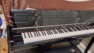 【德国博兰斯勒家族】欧米勒钢琴 18年购入，每年专业调音师调