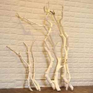 自然枯树造型枯枝白树枝树杈干室内树枝摆放装饰北欧橱窗龙骨树杆