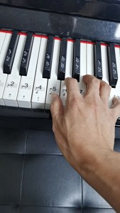 米达尔M818智能电钢琴88键重锤 专业成人数码进口音源琴儿