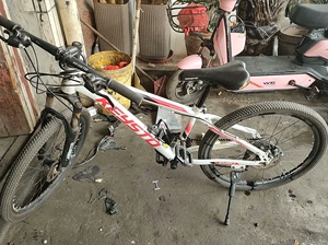 奇狮品牌山地自行车24寸买来半年没骑几次就放着没用，前后正新