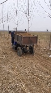 柴油三轮车农用三马子二手三轮车