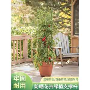 花架置物架阳台西红柿番茄架茄子爬藤架园艺花卉绿植支撑杆阳台地