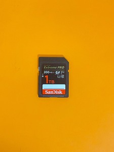 Sandisk/闪迪SD卡1T（1000g）相机内存卡大卡单