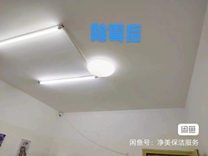 深圳宝安区上门除霉服务 墙面除霉 天花板除霉  （环保药剂