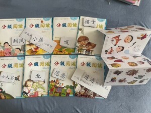 亿童分级阅读，第六级，幼儿园的教材，自己孩子用的，共8本全。