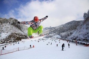 元旦当天可定，大明山大明山滑雪门票，非周末门票，周末门票。