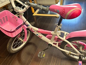 小龙哈彼（Happy dino）儿童自行车女童款小孩16寸山