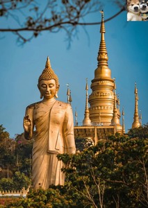 西双版纳 勐泐大佛寺门票