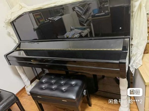 2021年买的斯坦梅尔钢琴TS-300纪念版，88键，几乎全