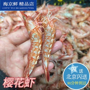 海捕野生 樱花虾 500g 即食海虾 刺身虾 赤红虾 甜虾日