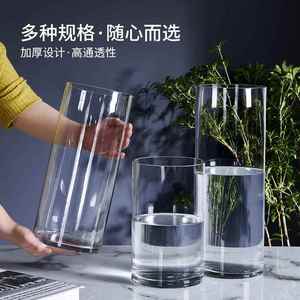 水培植物玻璃瓶透明直筒圆柱形花瓶简约绿萝富贵竹玻璃容器干花