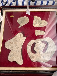 三叶虫化石做的福字