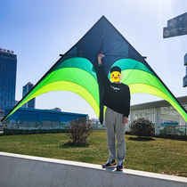 Kite adult Special super professional high-end new breeze light body anti-wind super large paper kite large creative