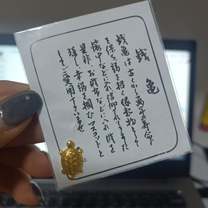 清仓出14个日本浅草寺小金龟，懂得再拍！包装陈旧