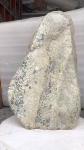 画面石精品黑底白花纹莱州竹叶奇石新品上架如图和视频，尺寸标注
