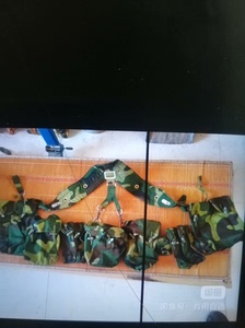 99伞兵携行具，一排七八个袋子，腰扣结实耐用，喜欢朋友要，已