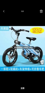 转健儿儿童自行车，14寸，双碟刹，可伸缩，轻微使用痕迹，仅支