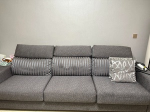 力军力的沙发，布艺的，耐脏。想换个小点的款式所以便宜出售。规