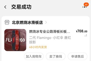 燃烧冰专业公路滑板长板代步刷街全能dc Flamingo嘛呢