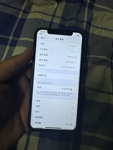 iPhone Xs 美版无锁256 更换屏幕 全新电池 功能