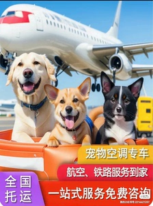 广西南宁、柳州、桂林、百色、玉林各市发往全国各地宠物托运。空