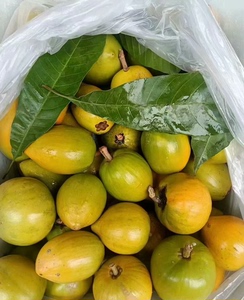 鸡蛋果蛋黄果5斤海南特产热带水果新鲜应季当季一整箱熟果包邮