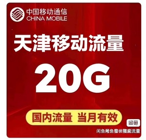 天津移动流量20GB