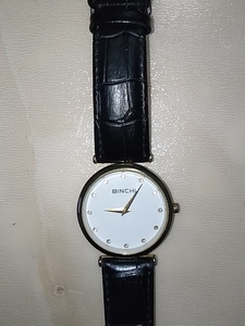 binchi男士手表，正常使用中，闲置出售，自提涧西区天津路