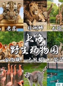 上海野生动物园门票