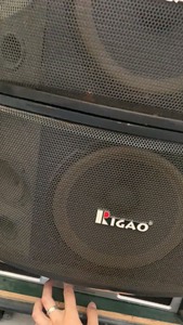 Rigao卡包音箱10寸150w，成色差，声音正常，有需要的