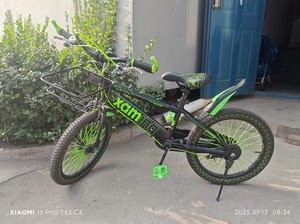小阿明 自行车 绿色 18寸儿童自行车买上就没骑几次，一直在