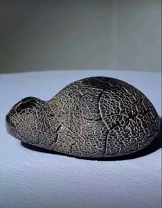 龟纹象形奇石（金钱龟）