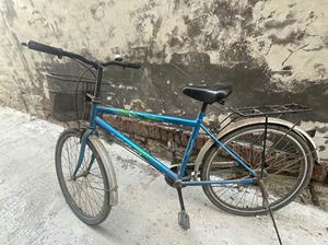 出售蓝岛自行车，价格便宜