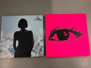 ［出］椎名林檎 十周年纪念写真集