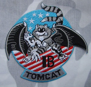 刺绣徽章 美国F-14战斗机机种刺绣臂章 飞翼汤姆猫刺绣臂章胸章