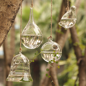 简约水培花器vase小号吊瓶家居装饰清新水晶创意悬挂透明玻璃花瓶
