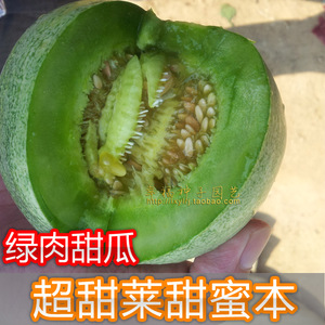 【湘研绿肉甜瓜种子】 超甜香瓜种子 绿皮绿肉 糖度17度 春秋蜜瓜