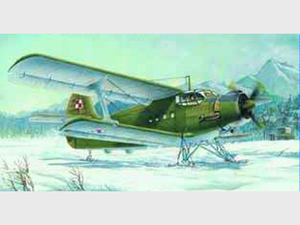 TRUMPETER 小号手 模型 1/72 苏联安-2运输机雪橇型 01607