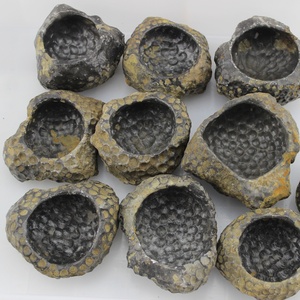 观赏天然珊瑚虫化石制作烟灰缸 笔洗水丞砚滴香炉花盆 多款