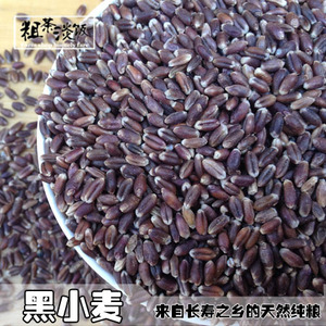 山东农家 黑小麦粒 黑麦子带皮麦麸小麦仁颗粒500g食用杂粮粗粮