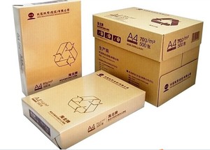 包邮海龙A4纸 玖龙牌 70G80G A4纸500张 复印纸 80克 打印复印纸