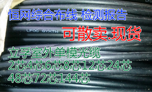 天津立孚LFOC室外单模光缆 GYXTW/GYTA4芯6芯8芯12芯24芯48芯72芯