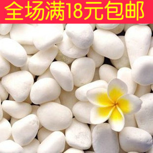 白色小石子白色雨花石水培植物介质花盆装饰品园艺用品100克