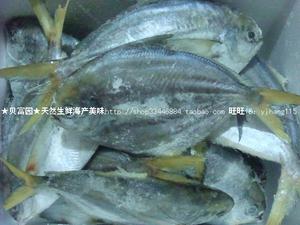 新鲜海鱼 海鲳鱼 扁鲳 南美鲳 肉鲳鱼 鲜活海捕 b6dXbUfc