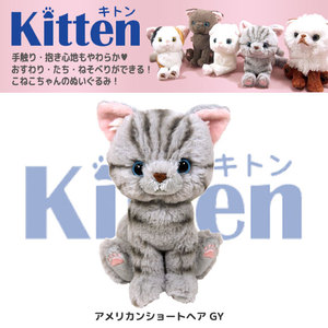 现货包邮kitten日本购买正品猫咪公仔仿真玩偶毛绒玩具猫 附礼袋
