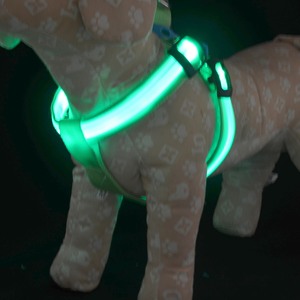 厂家直销 宠物LED发光狗胸背带 发光牵引绳闪光背带中小型犬胸背