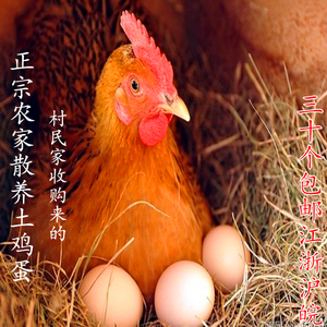 安徽黄山休宁山区农家正宗散养自己吃的新鲜月子柴笨草土鸡蛋包邮