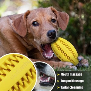 Pet Do  Tfoy Interactive Rubber Ballr forgSmall Lasge Dogs P