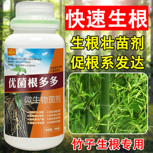 竹子营养液转运竹文竹观音竹专用生根液土壤活化剂水溶肥料壮苗剂